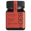 Mật ong Manuka Honey UMF 20+ (MGO 830+) Egmont New Zealand