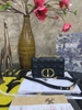 TÚI DIOR TRẦN CARO 2021 SUPER