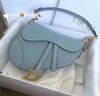 DIOR SADDLE YÊN NGỰA MÀU