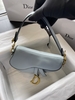 DIOR YÊN NGỰA SADDLE MÀU SẮC