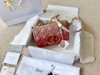 TÚI DIOR CARO 2021 MÀU OMBRE HỒNG