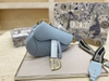 DIOR SADDLE YÊN NGỰA MÀU