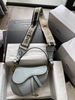 DIOR YÊN NGỰA SADDLE MÀU SẮC