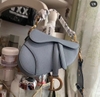 DIOR SADDLE YÊN NGỰA MÀU