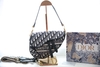 TÚI DIOR SALDE YÊN NGỰA CANVAS THỔ CẨM