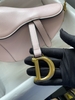 DIOR YÊN NGỰA SADDLE MÀU SẮC