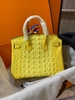HERMES DA BÒ DẬP VÂN LƯNG CÁ SẤU