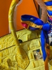 HERMES DA BÒ DẬP VÂN LƯNG CÁ SẤU