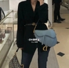 DIOR SADDLE YÊN NGỰA MÀU