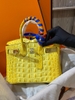 HERMES DA BÒ DẬP VÂN LƯNG CÁ SẤU