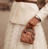 DIOR LADY SIÊU MINI NANO NGỌC TRINH SIÊU CẤP