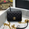 Túi Chanel Woc new 2021 dây xích mới siêu cấp