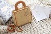 Dior Lady ss23 