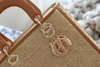 Dior Lady ss23 