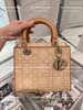 Dior Lady ss23 