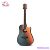 guitar-acoustic-rosen-g11-pro-neo-cam-den
