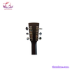 guitar-acoustic-ve-70d