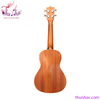 dan-ukulele-concert-size-23