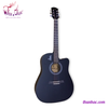 dan-guitar-acoustic-ht-98-ht-music-den