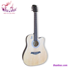 guitar-acoustic-ht98-ht-music