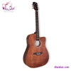 guitar-acoustic-tokado-nau-t80