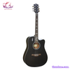 guitar-acoustic-rosen-g12