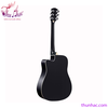 guitar-acoustic-rosen-den-r135