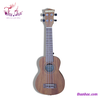 dan-ukulele-go-concert-size-21