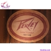 guitar-acoustic-peavey-dw3