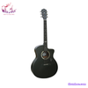 guitar-acoustic-mantic-gt-1gc-den