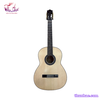 dan-guitar-classic-tnc-250