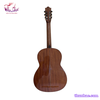 dan-guitar-classic-tnc-250