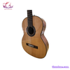 dan-guitar-classic-tnc-250