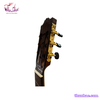 dan-guitar-classic-tnc-250