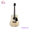 dan-guitar-acoustic-tnd-120
