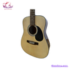 dan-guitar-acoustic-tnd-120
