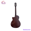 dan-guitar-acoustic-tnj-120