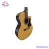 dan-guitar-acoustic-tnj-120