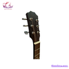 dan-guitar-acoustic-tnj-120