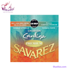 day-classic-savarez-510mrjp
