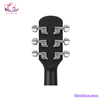 guitar-acoustic-rosen-g12-neo-den