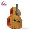 guitar-classic-eko-vibra-v100