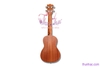 dan-ukulele-go-concert-size-23