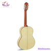 guitar-classic-amira-flamenco