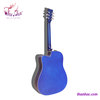 guitar-acoustic-tokado-t320-xanh-den