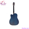 guitar-acoustic-rosen-xanh-den-r135