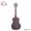 dan-ukulele-go-fender-size-23