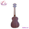 dan-ukulele-go-fender-size-23