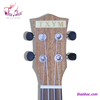 dan-ukulele-go-concert-size-21