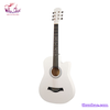 guitar-acoustic-rosen-g12